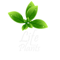 Life with Plants